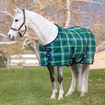 Why does your horse need a mesh horse rug in summer?
